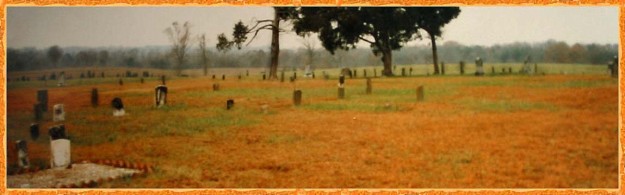 The Edmond L. Davis cemetery is located on a hilltop just east of the bridge where Olive Branch road crosses Gourdvine Creek in Union county NC.